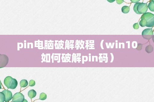 pin电脑破解教程（win10如何破解pin码）