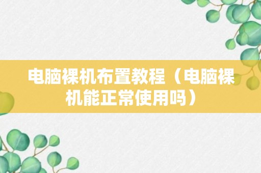 电脑裸机布置教程（电脑裸机能正常使用吗）