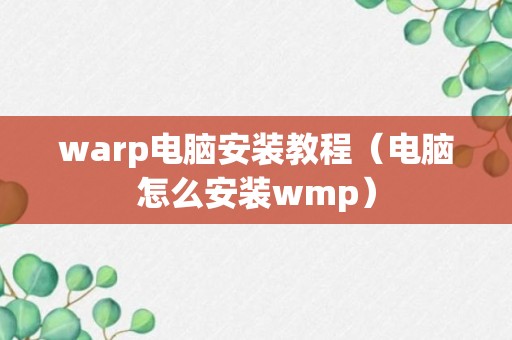 warp电脑安装教程（电脑怎么安装wmp）