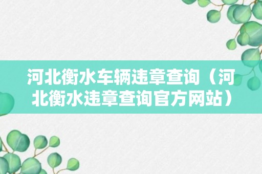 河北衡水车辆违章查询（河北衡水违章查询官方网站）