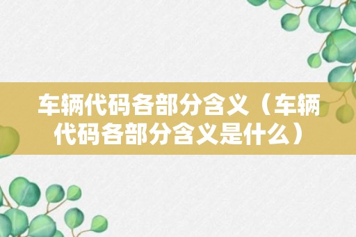 车辆代码各部分含义（车辆代码各部分含义是什么）