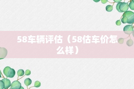 58车辆评估（58估车价怎么样）