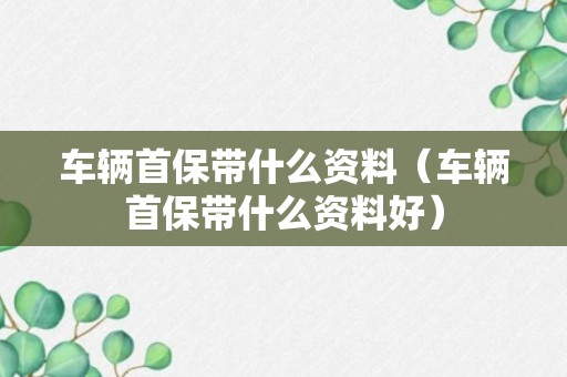 车辆首保带什么资料（车辆首保带什么资料好）