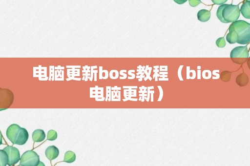 电脑更新boss教程（bios电脑更新）