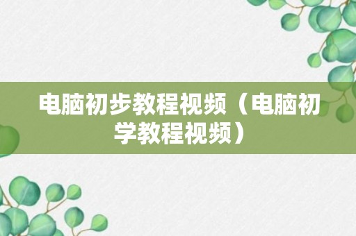 电脑初步教程视频（电脑初学教程视频）