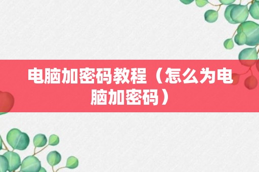 电脑加密码教程（怎么为电脑加密码）