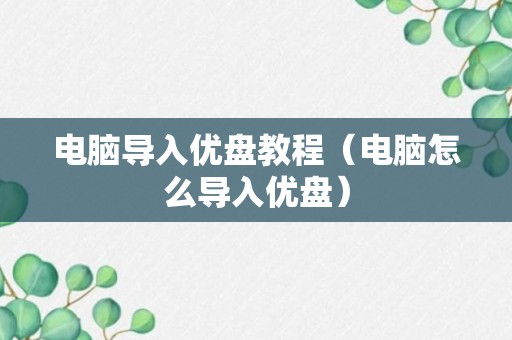 电脑导入优盘教程（电脑怎么导入优盘）