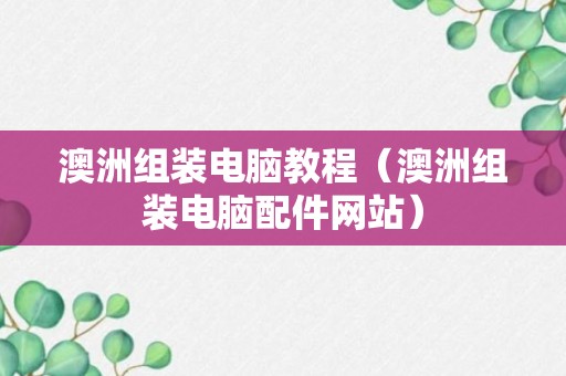 澳洲组装电脑教程（澳洲组装电脑配件网站）