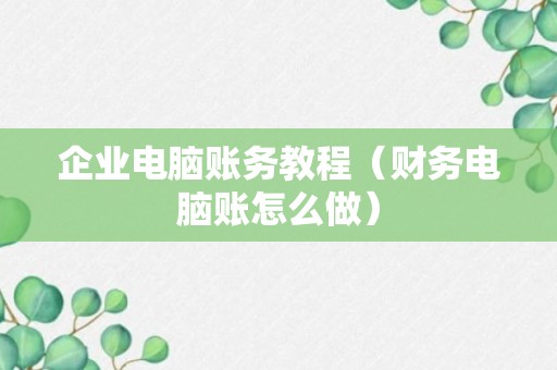 企业电脑账务教程（财务电脑账怎么做）