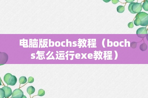 电脑版bochs教程（bochs怎么运行exe教程）