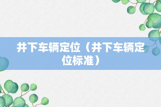 井下车辆定位（井下车辆定位标准）