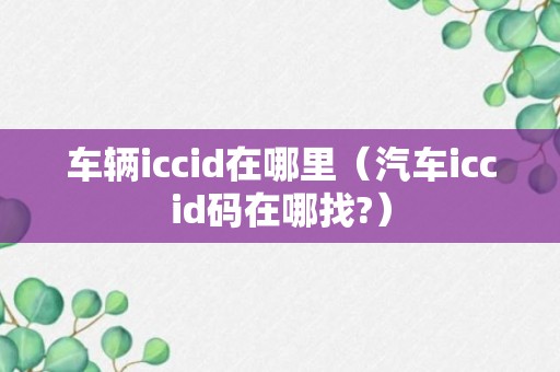 车辆iccid在哪里（汽车iccid码在哪找?）