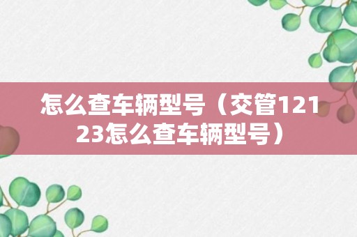 怎么查车辆型号（交管12123怎么查车辆型号）