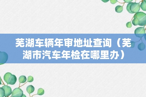 芜湖车辆年审地址查询（芜湖市汽车年检在哪里办）