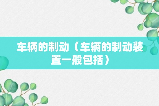 车辆的制动（车辆的制动装置一般包括）