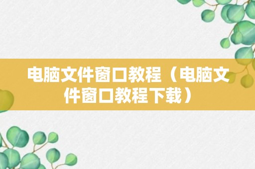 电脑文件窗口教程（电脑文件窗口教程下载）