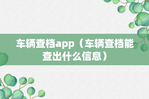 车辆查档app（车辆查档能查出什么信息）