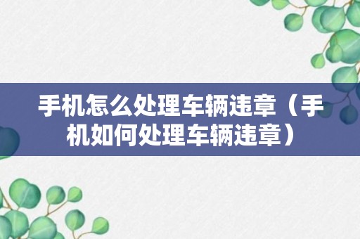 手机怎么处理车辆违章（手机如何处理车辆违章）