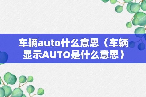 车辆auto什么意思（车辆显示AUTO是什么意思）