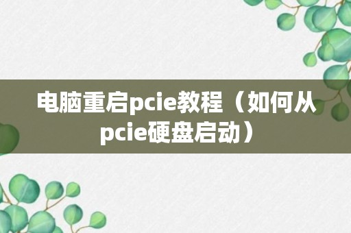 电脑重启pcie教程（如何从pcie硬盘启动）