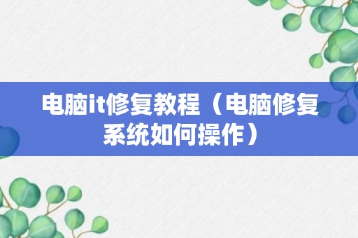 电脑it修复教程（电脑修复系统如何操作）