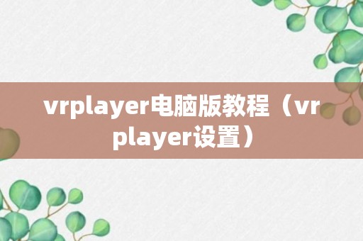 vrplayer电脑版教程（vrplayer设置）