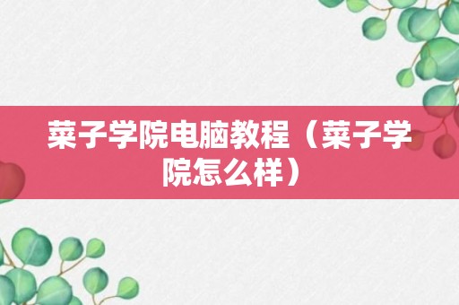 菜子学院电脑教程（菜子学院怎么样）