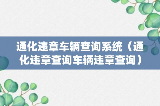 通化违章车辆查询系统（通化违章查询车辆违章查询）