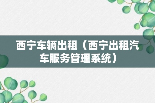 西宁车辆出租（西宁出租汽车服务管理系统）