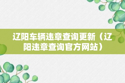 辽阳车辆违章查询更新（辽阳违章查询官方网站）