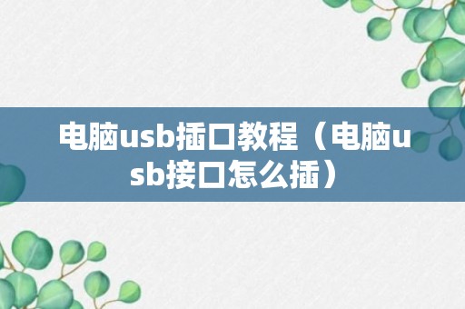 电脑usb插口教程（电脑usb接口怎么插）