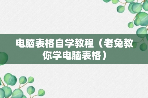 电脑表格自学教程（老兔教你学电脑表格）