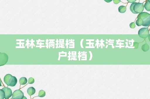 玉林车辆提档（玉林汽车过户提档）