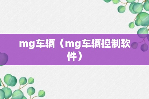 mg车辆（mg车辆控制软件）