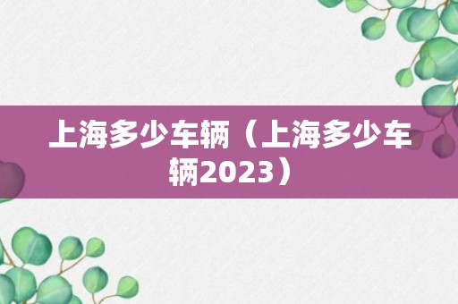 上海多少车辆（上海多少车辆2023）