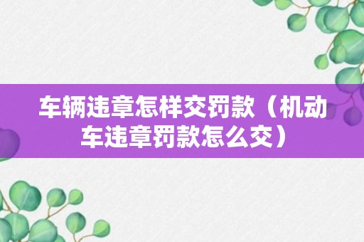 车辆违章怎样交罚款（机动车违章罚款怎么交）