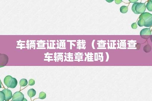 车辆查证通下载（查证通查车辆违章准吗）