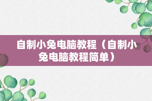 自制小兔电脑教程（自制小兔电脑教程简单）