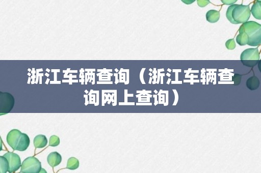 浙江车辆查询（浙江车辆查询网上查询）