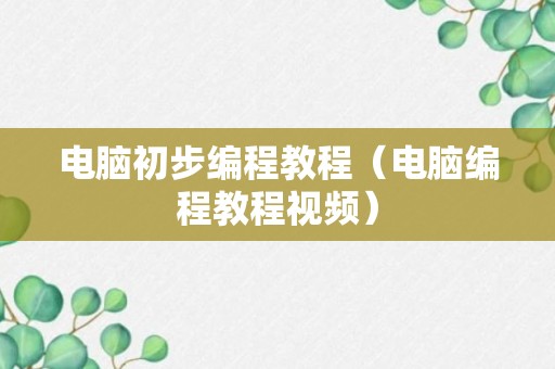 电脑初步编程教程（电脑编程教程视频）