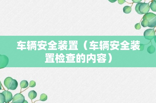 车辆安全装置（车辆安全装置检查的内容）