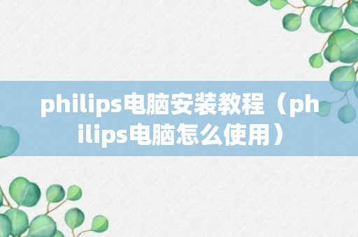 philips电脑安装教程（philips电脑怎么使用）