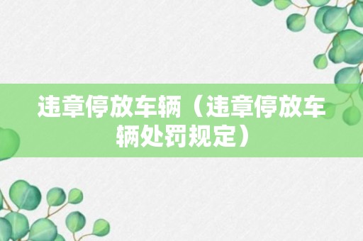 违章停放车辆（违章停放车辆处罚规定）