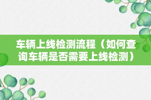 车辆上线检测流程（如何查询车辆是否需要上线检测）