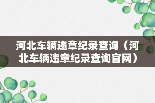 河北车辆违章纪录查询（河北车辆违章纪录查询官网）