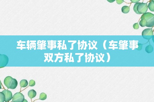 车辆肇事私了协议（车肇事双方私了协议）