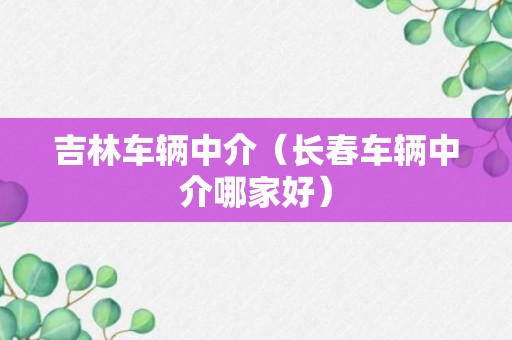 吉林车辆中介（长春车辆中介哪家好）