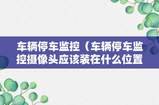 车辆停车监控（车辆停车监控摄像头应该装在什么位置）