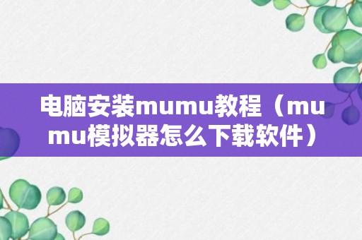 电脑安装mumu教程（mumu模拟器怎么下载软件）