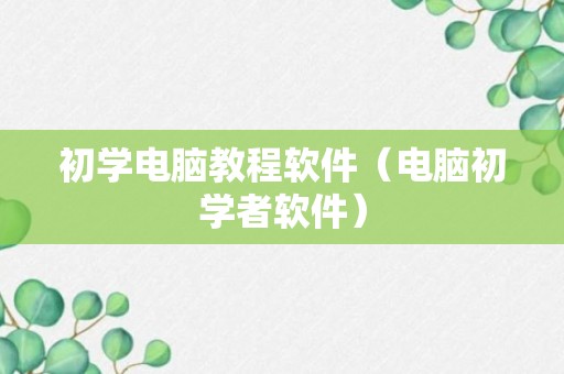 初学电脑教程软件（电脑初学者软件）